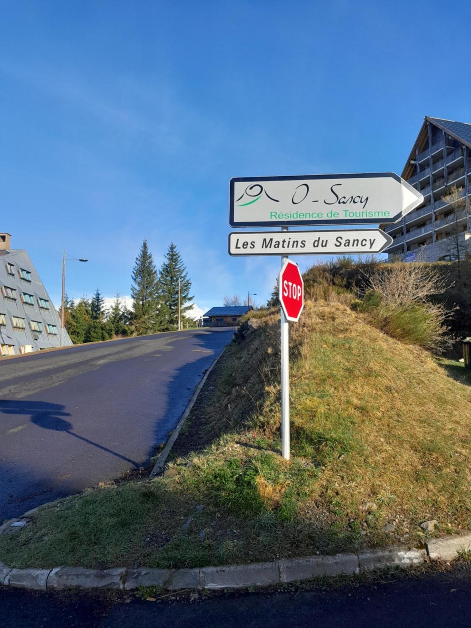 T2 Confortable - Piscine Chauffee - Super Besse Eksteriør billede